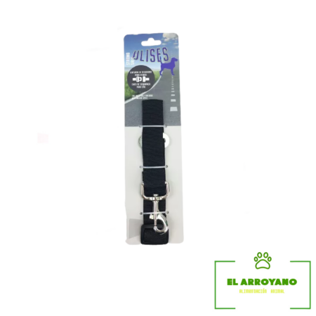 Correa de seguridad